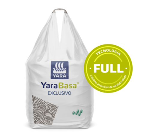 YaraBasa EXCLUSIVO