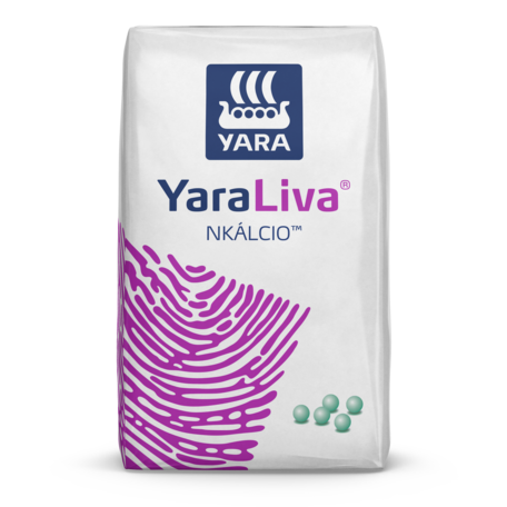 yarabasa