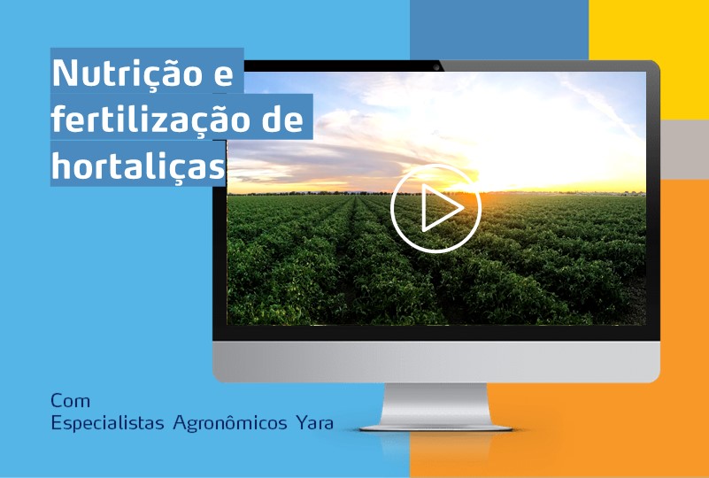 Banner webinar hortaliças