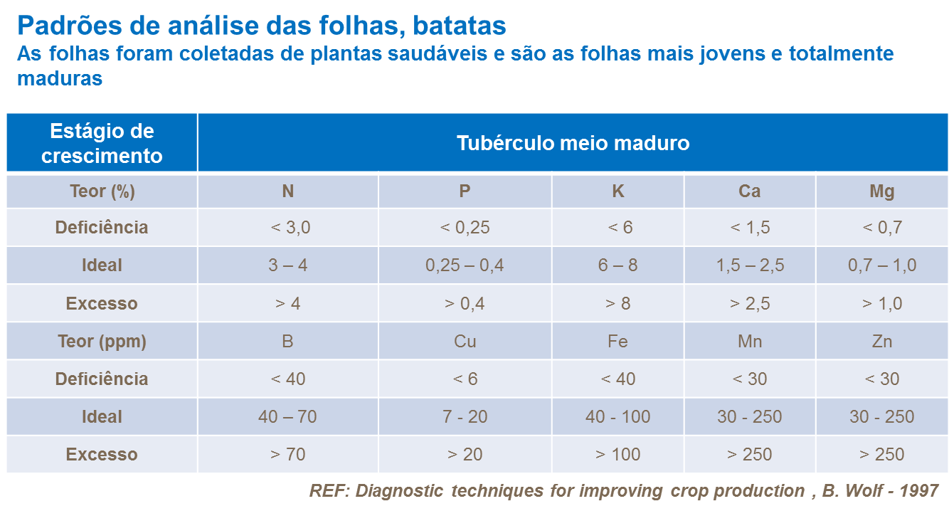Padrões de análise das folhas
