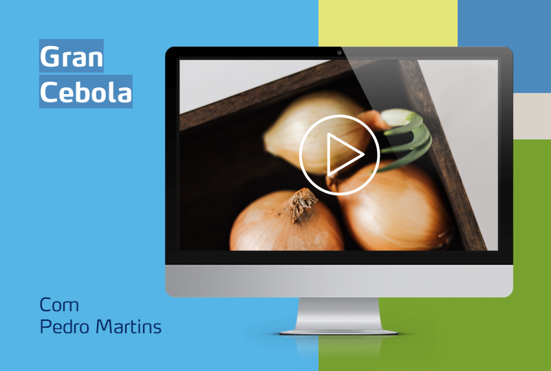 monitor com foto de cebola