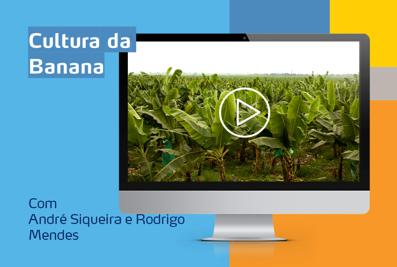 card com cultura de banana