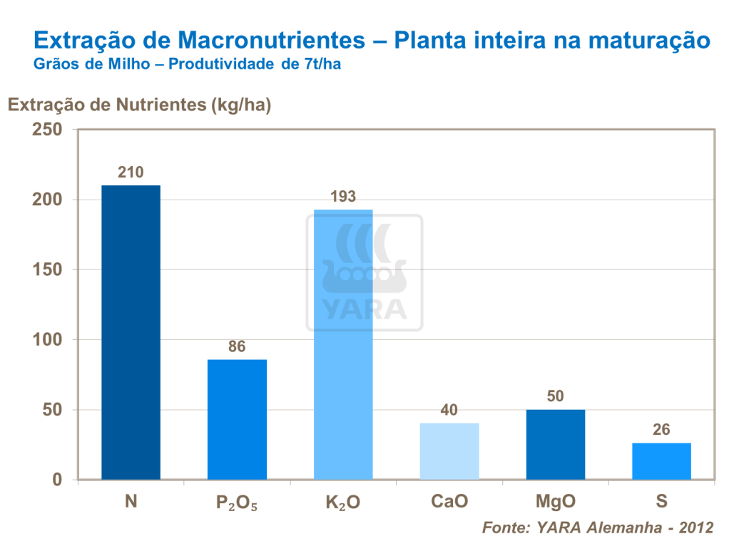 Extração de macronutrientes