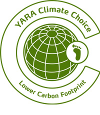 logo ycc