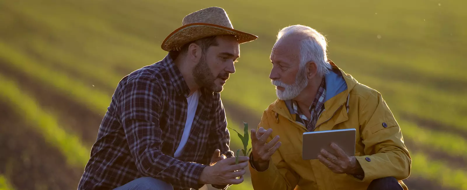 Produtores conversando no campo