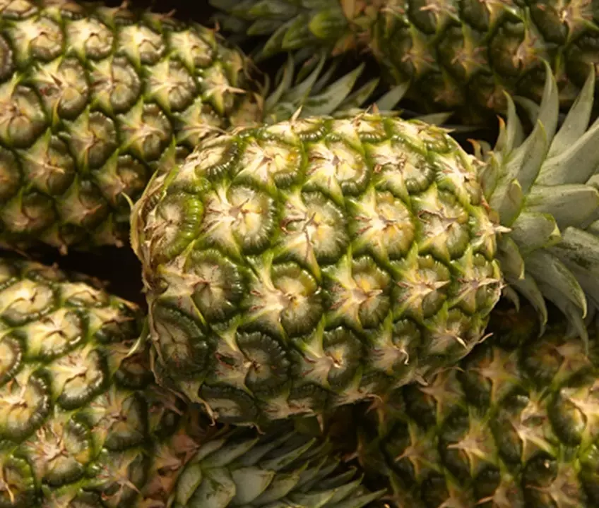 Abacaxis verdes