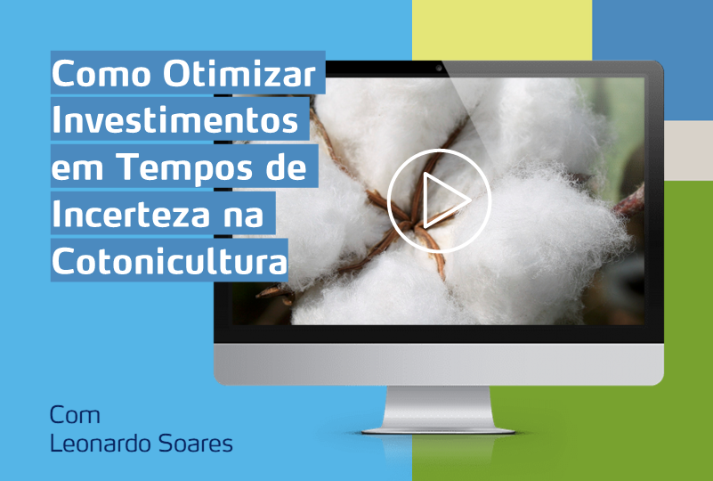 card com imagem de monitor com foto de cultura