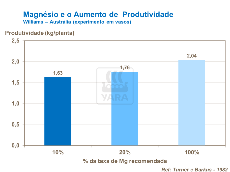 Magnésio e produtividade