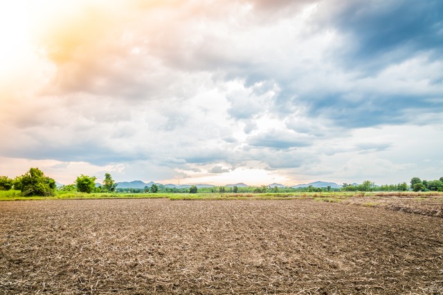 A influência do pH do solo na fertilidade das plantas