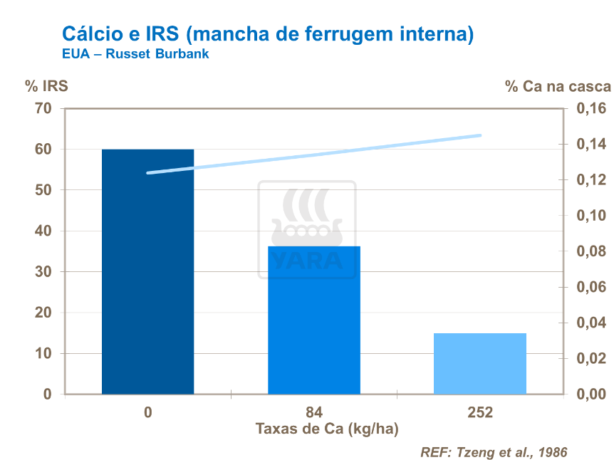   O gráfico mostra a relação entre dose de cálcio aplicado, quantidade de cálcio na casca e a incidência de mancha interna de ferrugem.