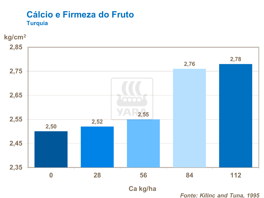 Cálcio e firmeza do fruto