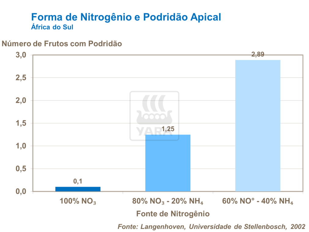Forma de nitrogênio e podridão apical