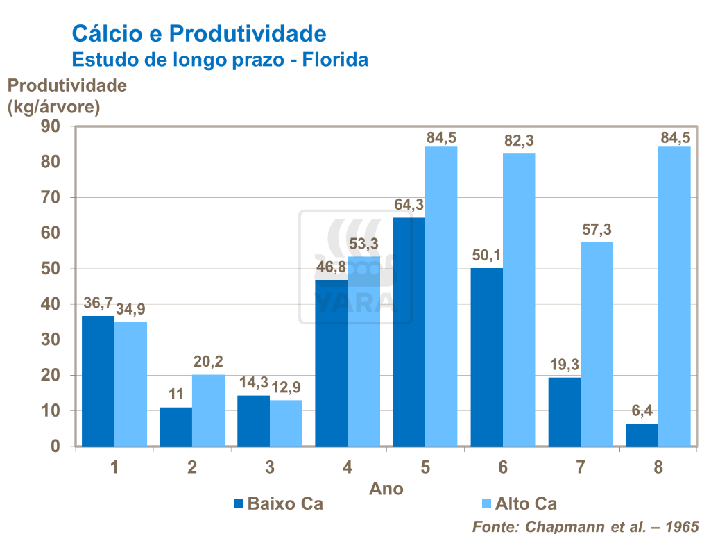 Cálcio e produtividade