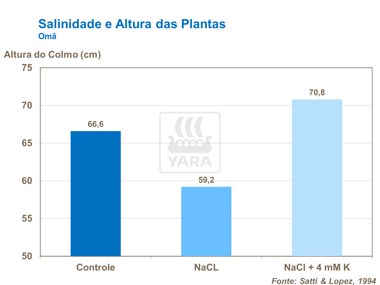 Salinidade e altura das plantas