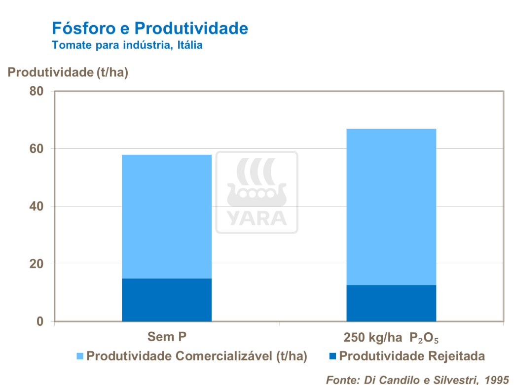 Fósforo e produtividade