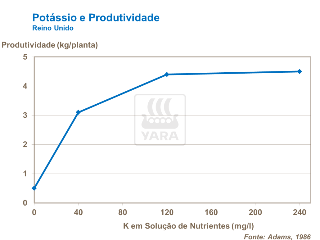 Potássio e produtividade
