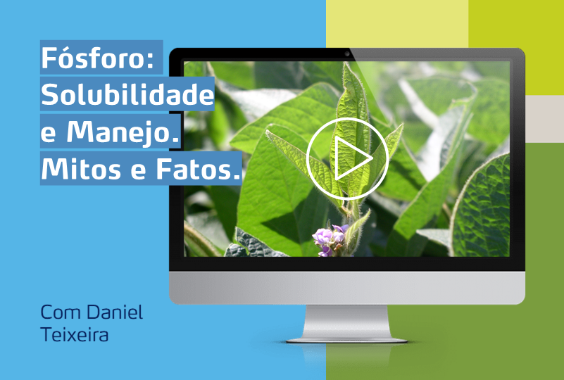 monitor com foto de soja