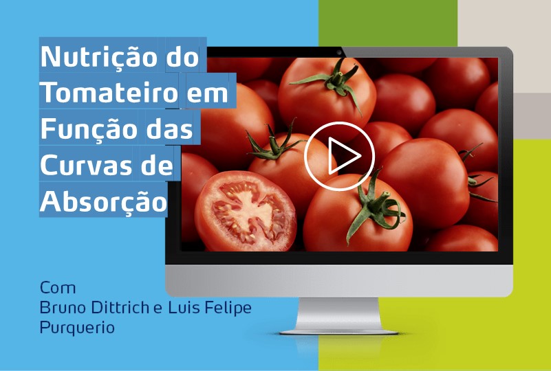 banner webinar tomate