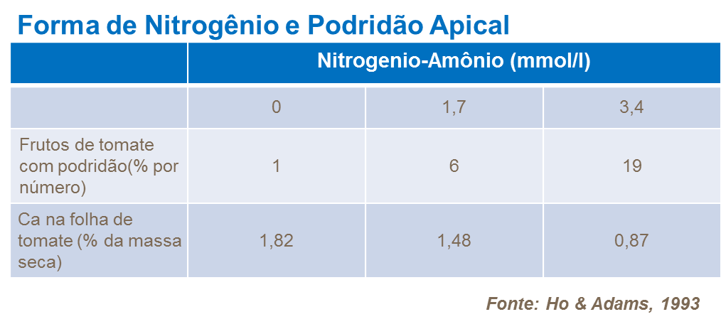 Forma de nitrogênio
