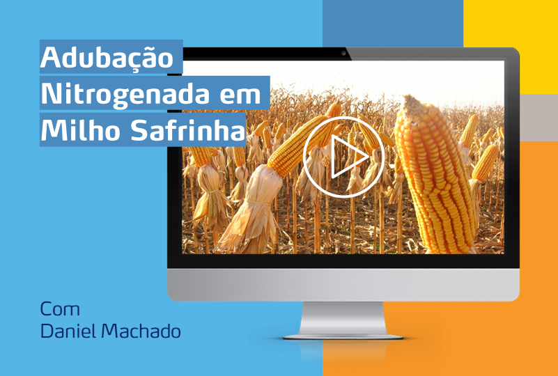 https://www.yarabrasil.com.br/conteudo-agronomico/webinars/