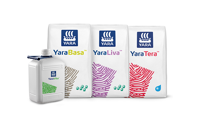 Imagem de pack de produtos do programa nutricional do Alface