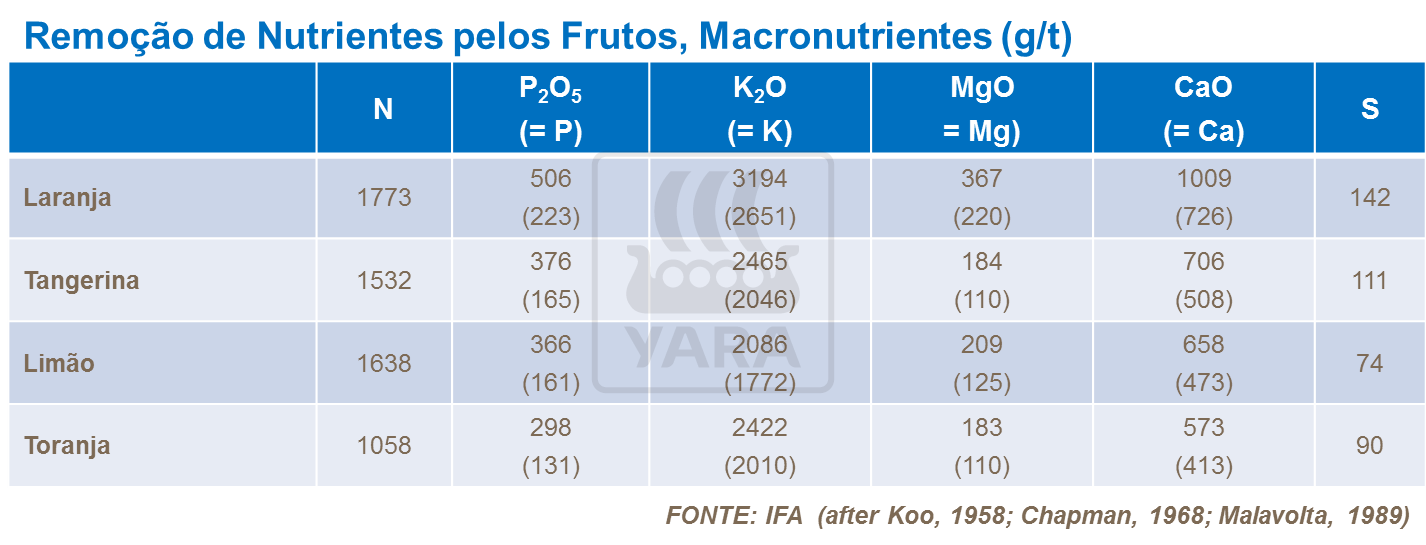 Remoção de nutrientes pelo fruto