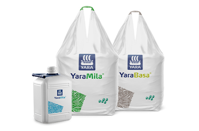 Imagem de pack de produtos do programa nutricional LongeVita