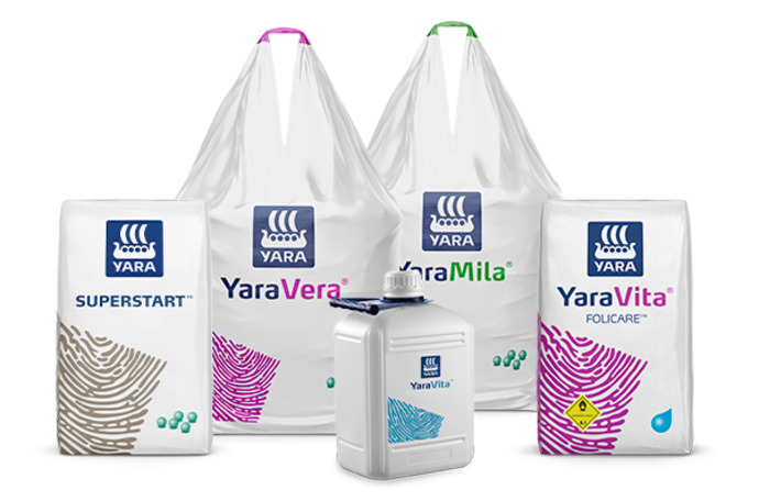 Imagem de pack de produtos do programa nutricional MaisArroz