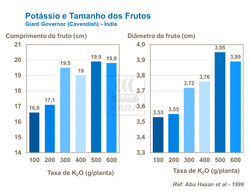 Potássio e tamanho dos frutos