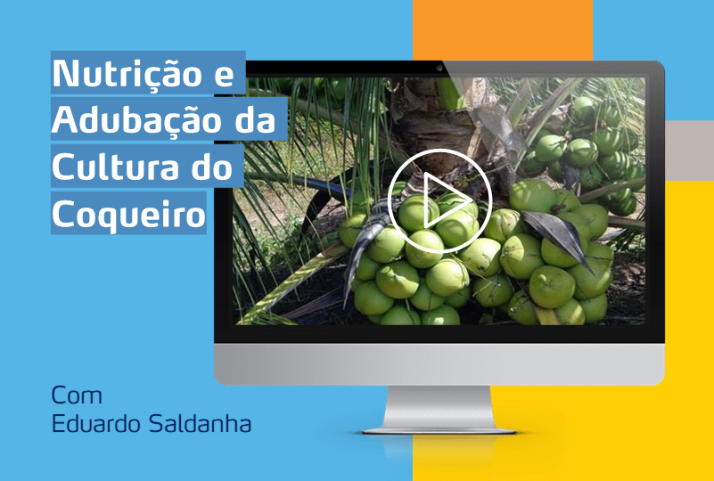 card com computador com imagem de uma cultura