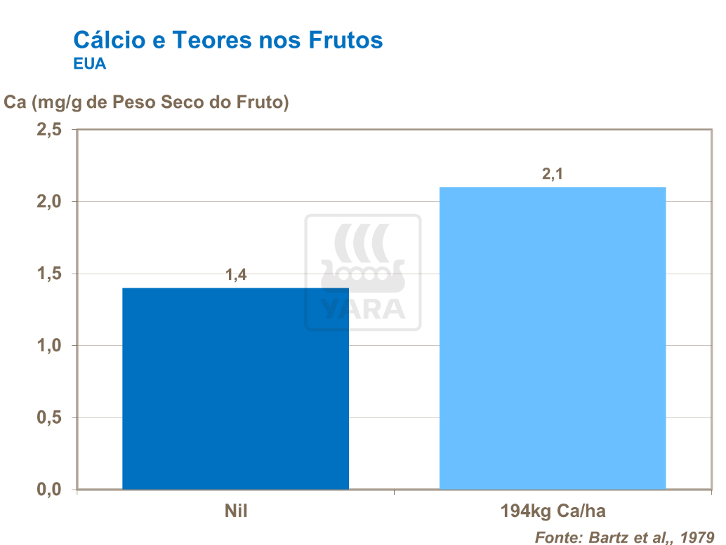 cálcio e teor nos frutos