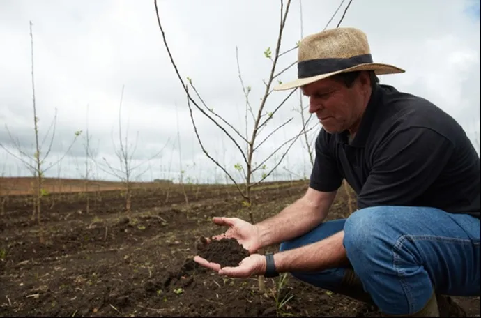 Produtor no campo com a mão no solo