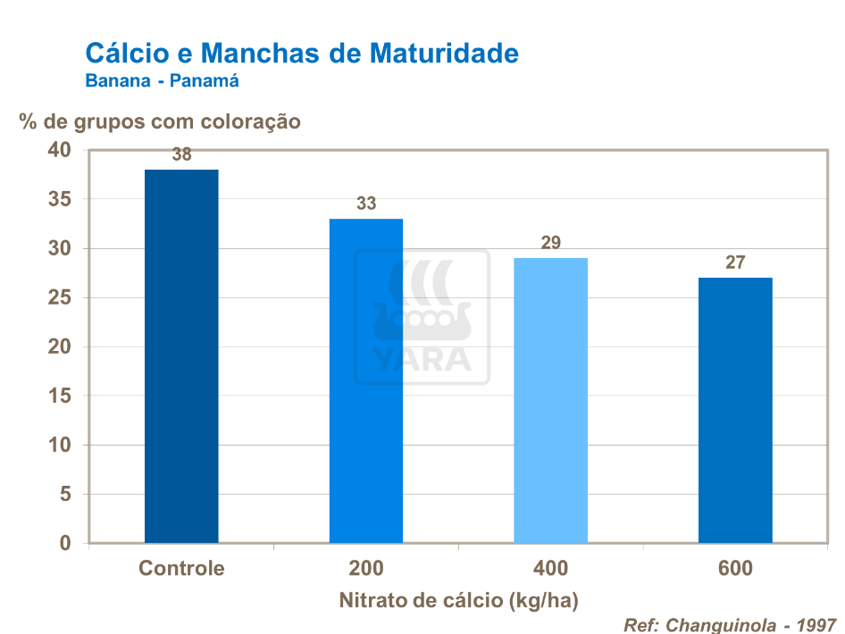 Cálcio e manchas de maturidade