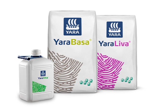 Imagem de pack de produtos do programa nutricional do Alface