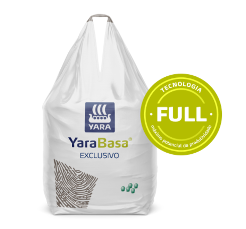 YaraBasa EXCLUSIVO