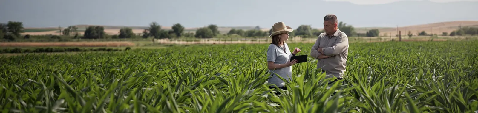 Agrônoma e agricultor na lavoura