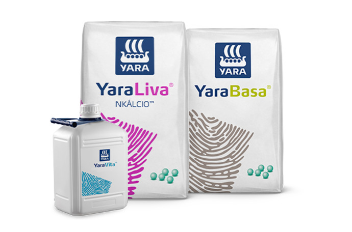 Imagem de pack de produtos do programa nutricional GranBatata