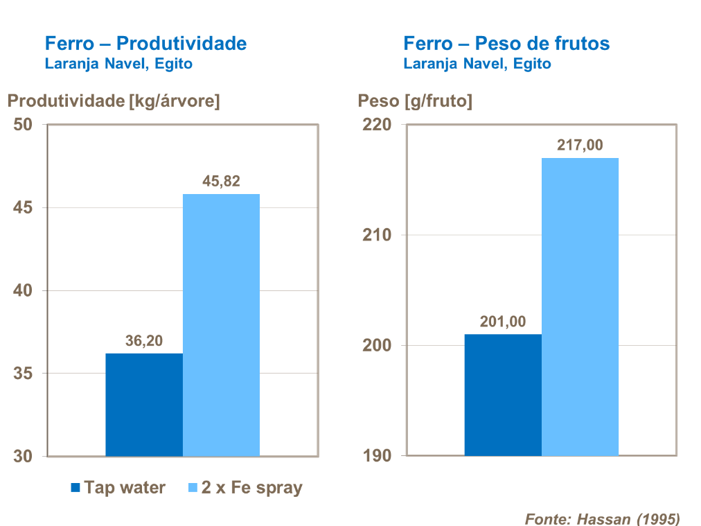 Ferro e produtividade