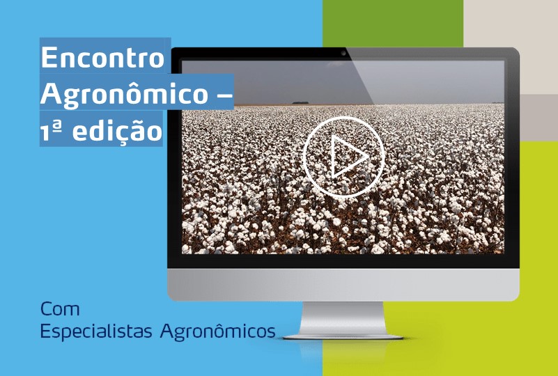 banner de webinar com algodão ao fundo