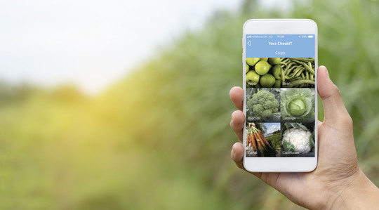 Mão segurando telefone com tela do CheckIT