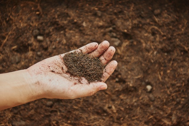 Adubação de Base: Quais Os Melhores Fertilizantes