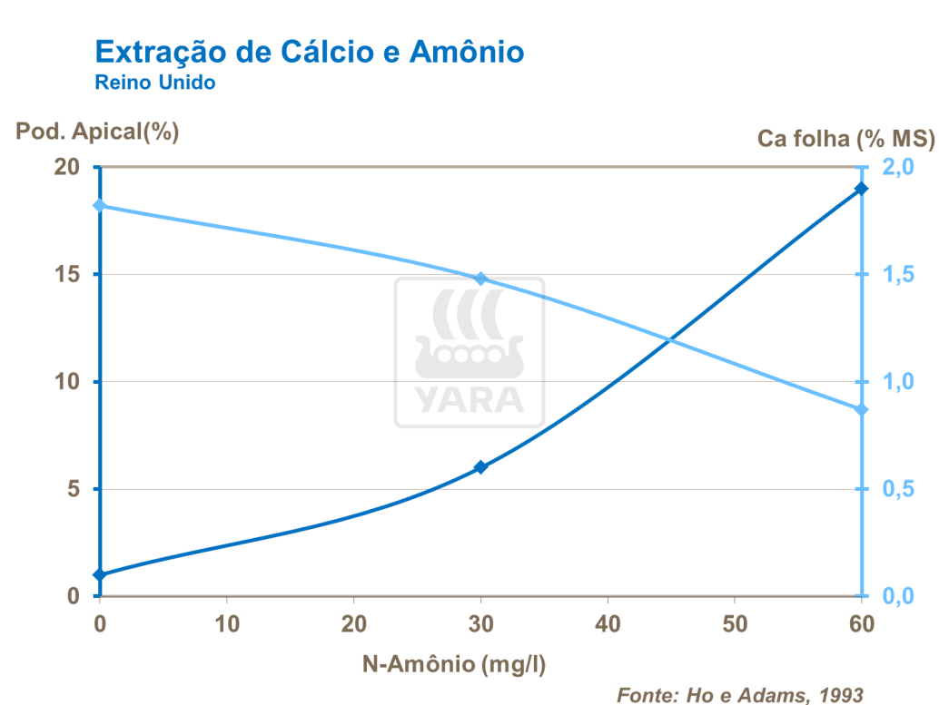 Extração de cálcio e amônio