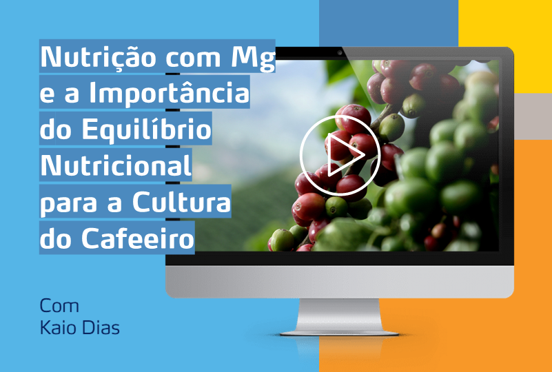 imagem de um computador com foto de café