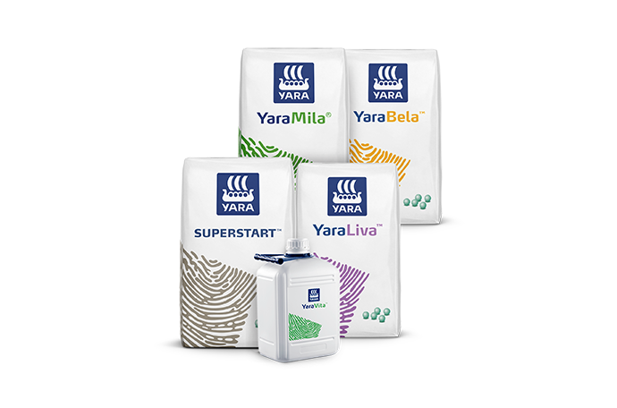 Imagem de pack de produtos do programa nutricional do abacaxi