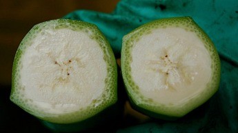 Corte transversal de duas bananas, a direita uma fruta mais madura.