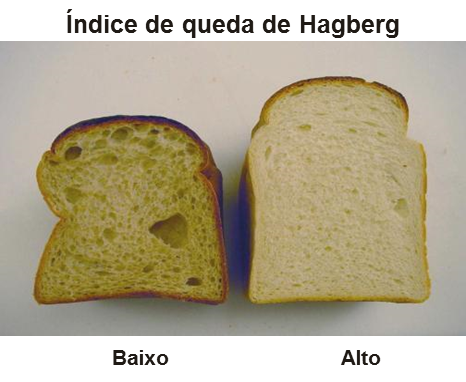 &Iacute;ndice de queda de Hagberg