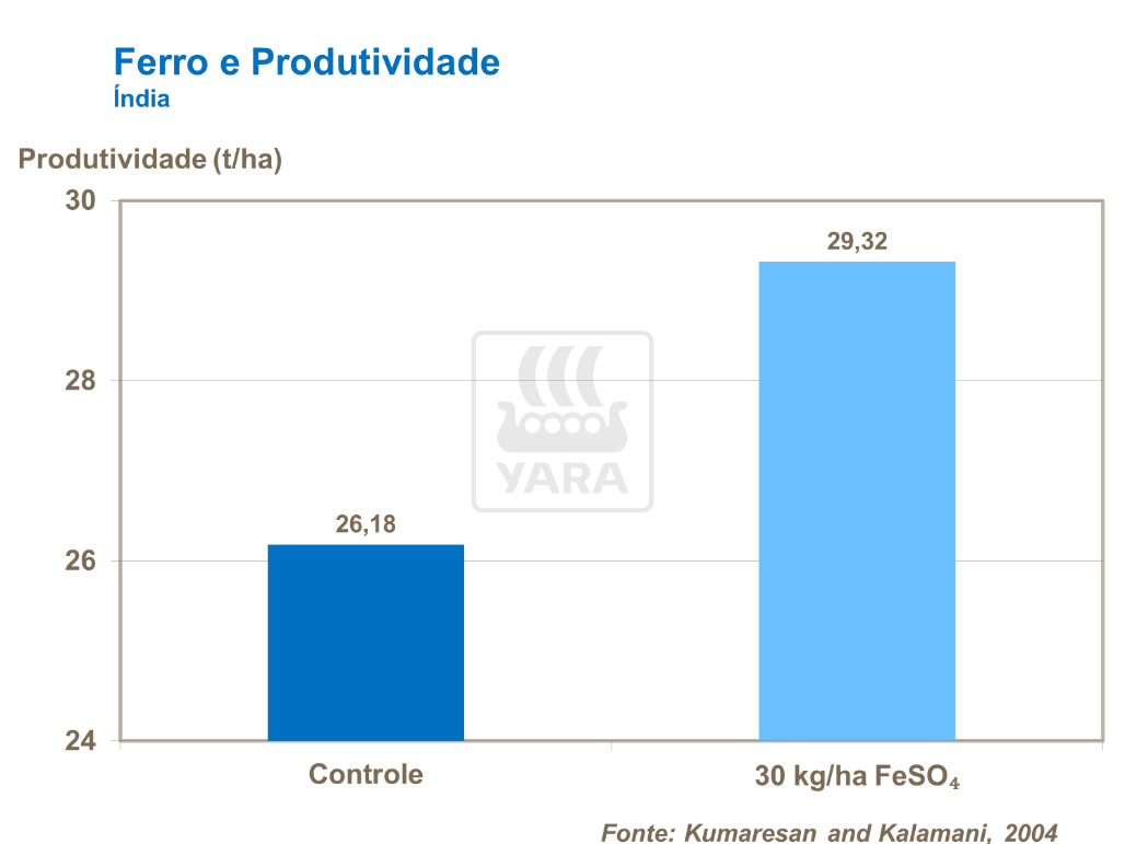 Ferro e produtividade