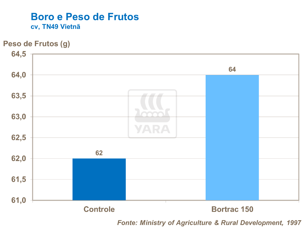 Boro e peso de frutos