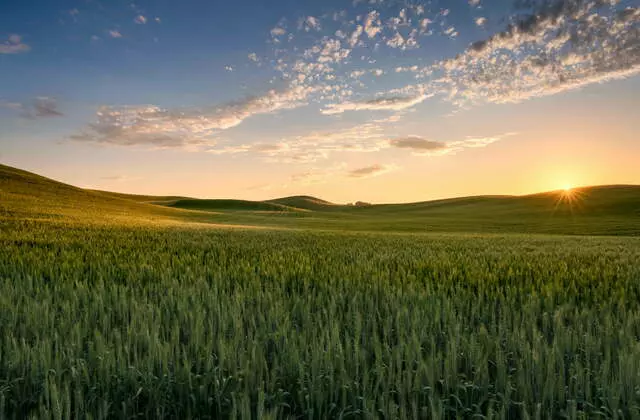 Paisagem do Campo