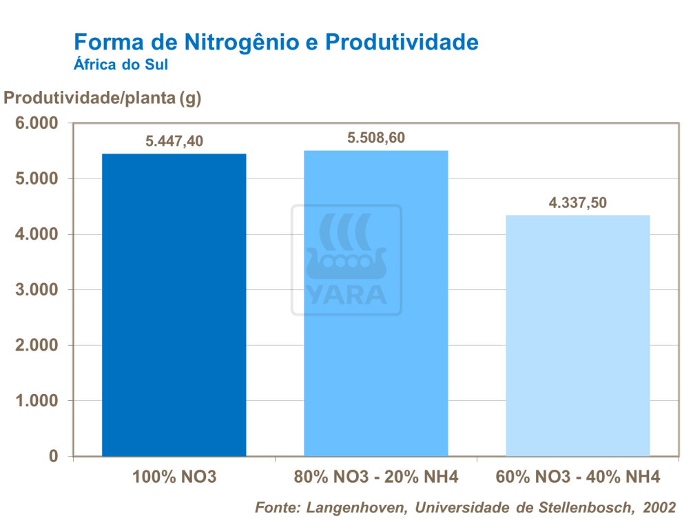 Forma de nitrogênio